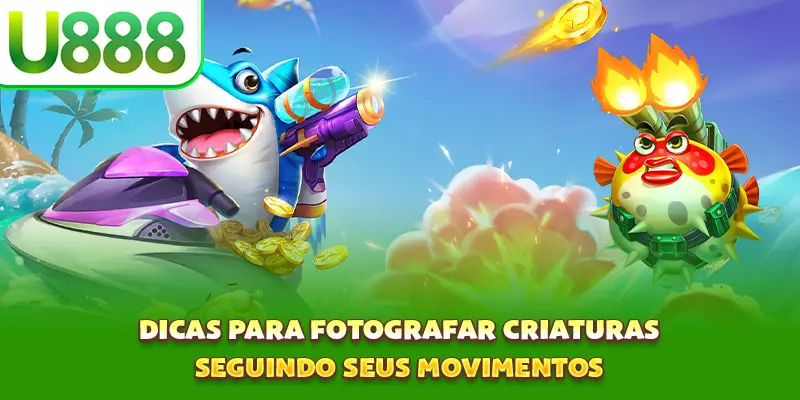 Dicas para fotografar criaturas seguindo seus movimentos